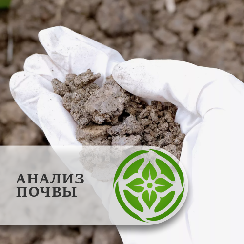 Анализ почвы